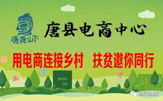 唐县电商服务中心助力农产品采摘销售第一站圆满结束
