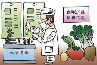 为你私人定制的资讯客户端 Yidianzixun.com 史上最全 食品安全法 图文详解版,2015年10月1日起施行