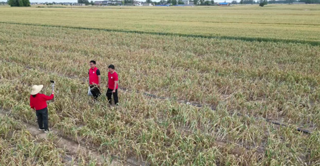 科学规划,种植致富--探讨适合这块地的农作物种植方案