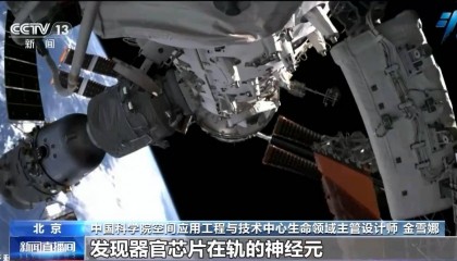 中国空间站完成空间生命科学在轨实验任务 还刷新一项新纪录
