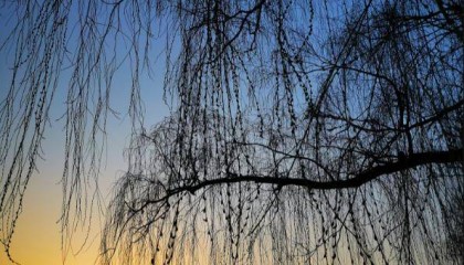 【软文代写】软文盘点结构怎么写