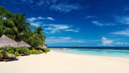 word关闭很慢怎么解