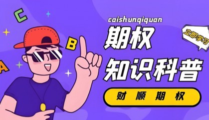 股票指数期权是什么意思？