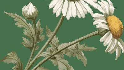 新书资讯｜《庠序有诗音：中国新诗教育研究（1919—1949）》