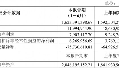乐山电力:2025年上半年净利润790.31万元