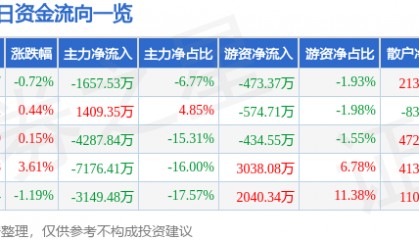 股票行情快报：深圳能源（000027）10月14日主力资金净卖出1657.53万元