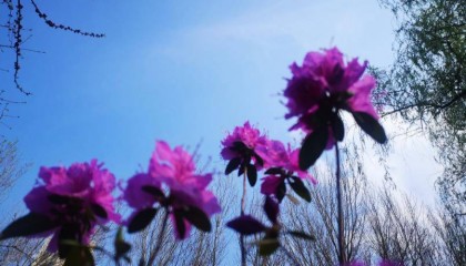 【软文代写】倒金字塔结构怎么写？