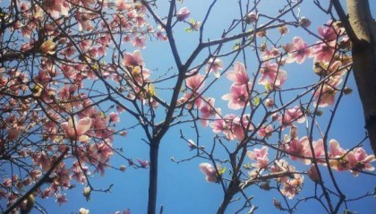 【软文代写】盘点结构的软文怎么写？