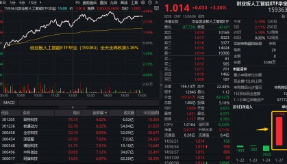 ETF盘后资讯|DeepSeek概念持续狂欢！创业板人工智能ETF华宝（159363）放量大涨3.36%，资金两日买入1.7亿元