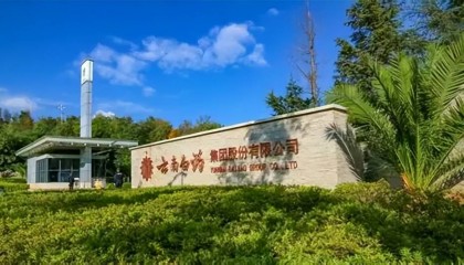 云南白药上半年净利润创历史新高 拟分红18亿元回馈股东