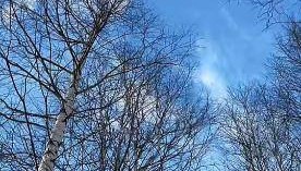 【软文代写】软文访谈结构怎么写？