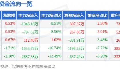 股票行情快报：新北洋（002376）8月5日主力资金净卖出1046.18万元
