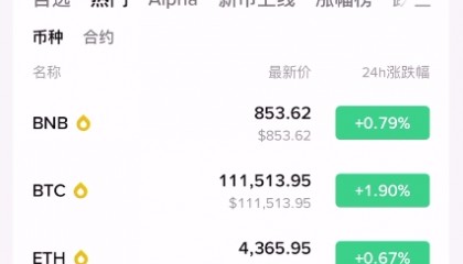 虚拟币交易论坛(最火的虚拟币论坛)