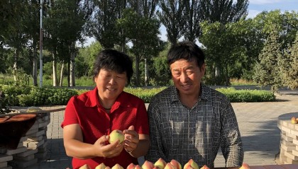 资讯有故事︱“你太好了，我们要去帮你” 这些外国友人为何纷纷到内蒙古种树？