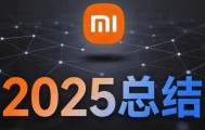 小米集团2025年总结！