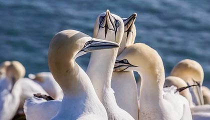 天音控股公布半年报 上半年净利减少739.66%