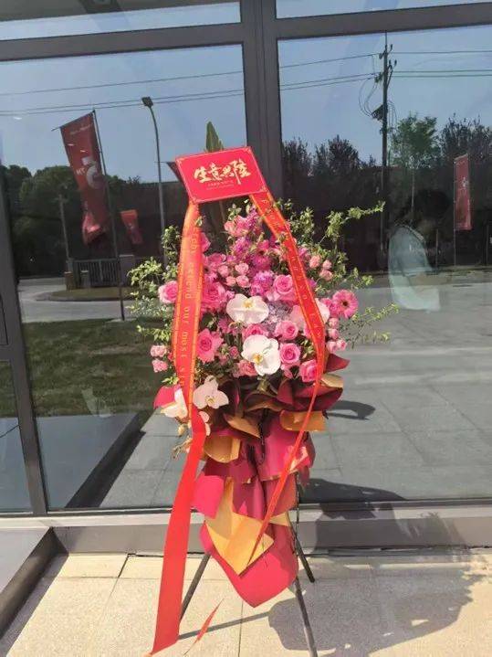 资讯 | 金春卿律师受邀出席奥地利独资企业五周年庆典