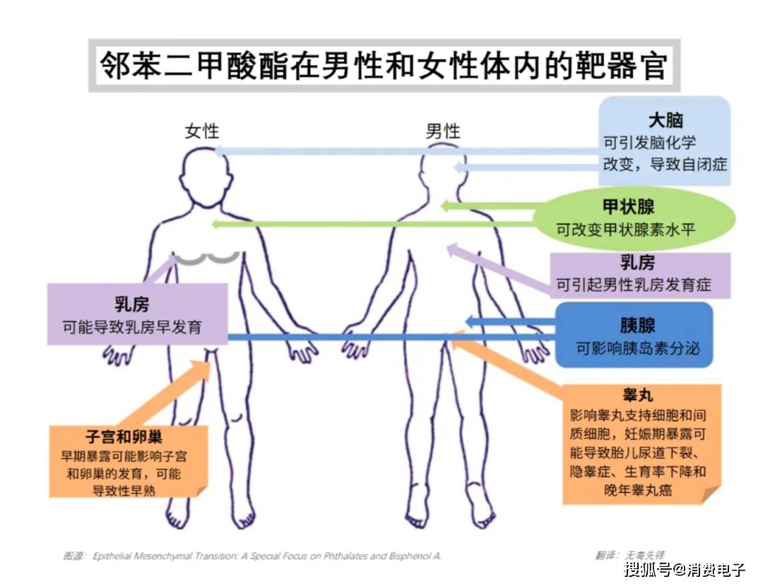超标509倍、销量100万+！拼多多、抖音等平台为何沦为“儿童毒拖鞋工厂”？（附超标产品“黑名单”）