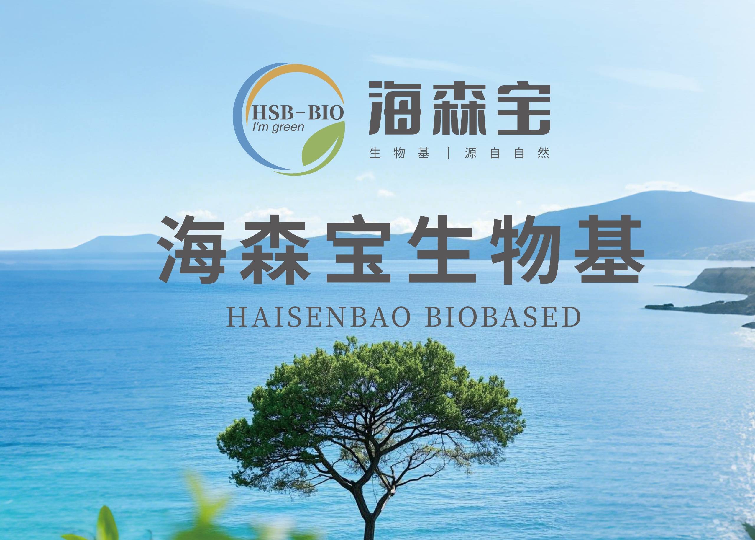 美缝资讯-海森宝生物基美缝剂通过国检中心型式检验