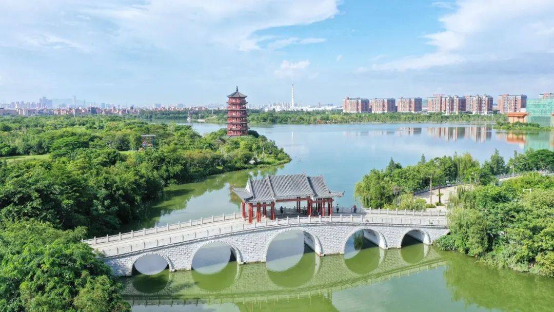 【资讯】麻涌免费旅游巴士线路有新调整！