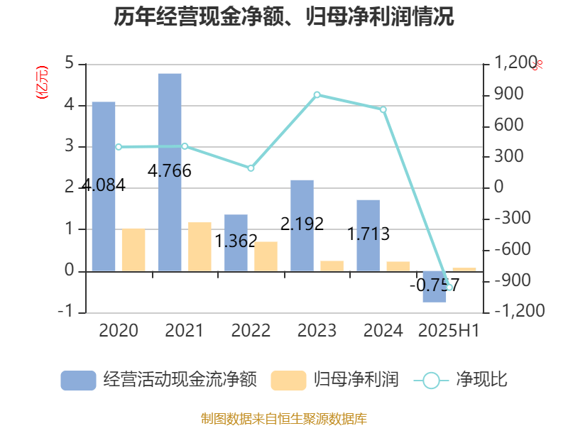 乐山电力:2025年上半年净利润790.31万元