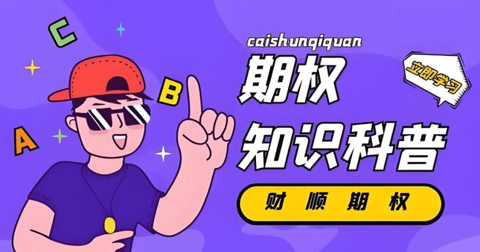 股票指数期权是什么意思?