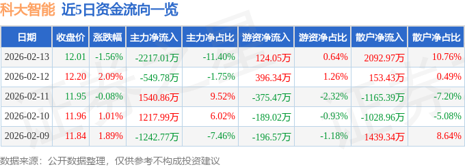 股票行情快报：科大智能（300222）2月13日主力资金净卖出2217.01万元
