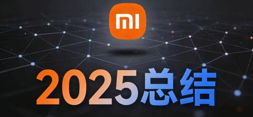小米集团2025年总结！