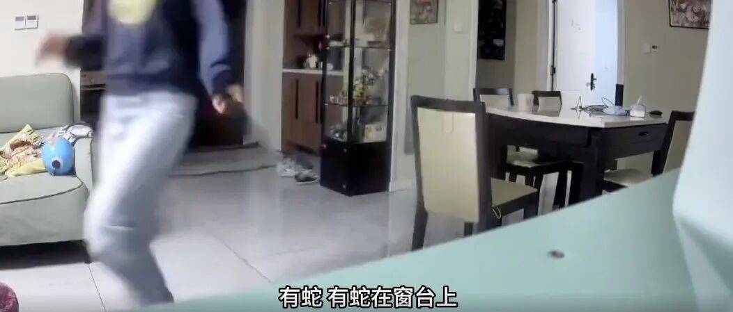 家中进蛇，上海女子吓到“跳舞”，丈夫拿纸巾就冲了过去！还有人在办公室发现1米长蛇蜕
