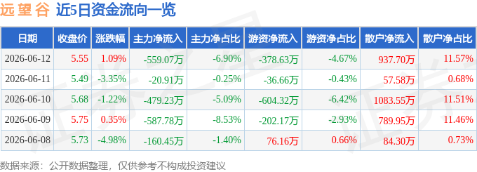 股票行情快报：远望谷（002161）6月12日主力资金净卖出559.07万元