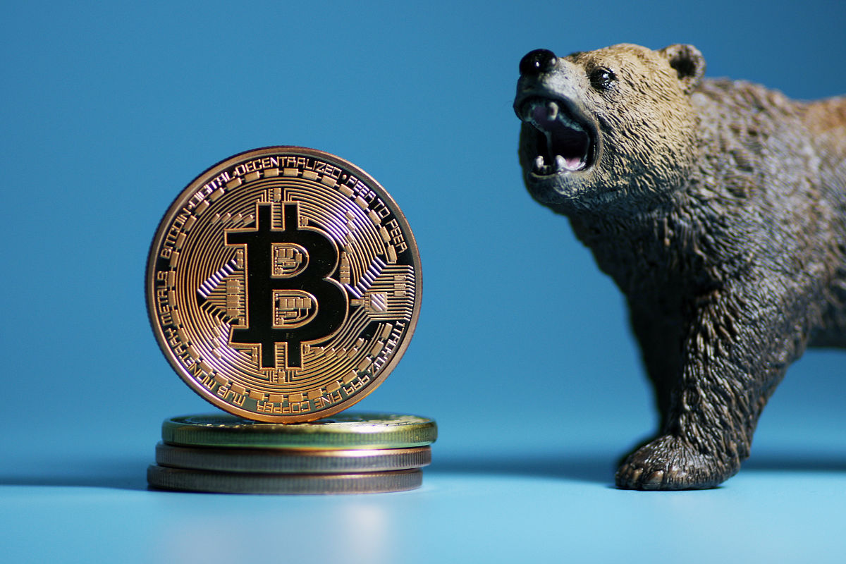 国际认可的虚拟币(国际认可的虚拟币是什么)